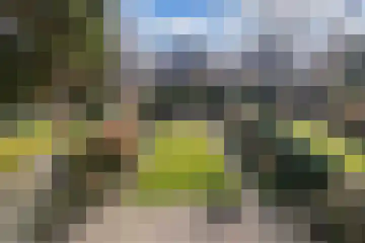 Gooisekust 72 Huizen thumbnail 23