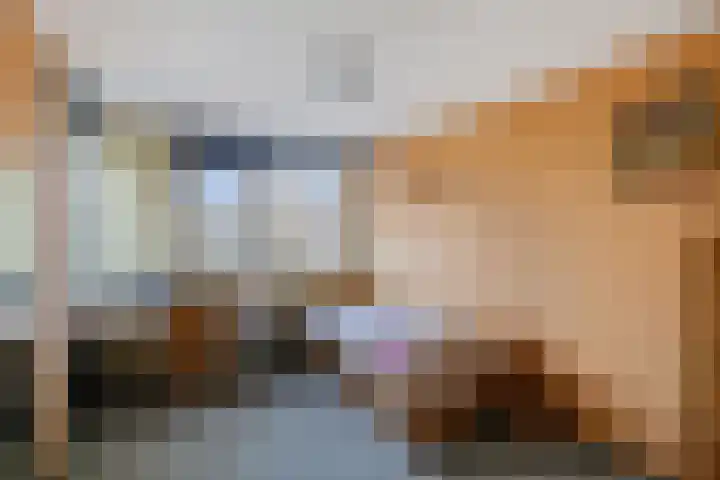 Gooisekust 72 Huizen thumbnail 24