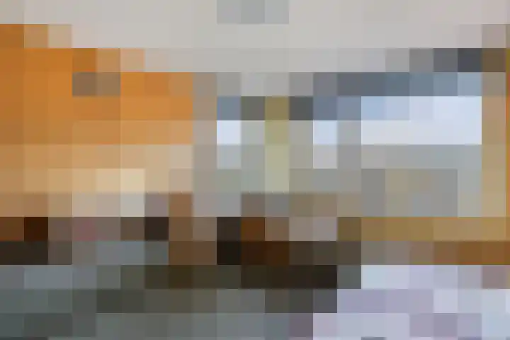 Gooisekust 72 Huizen thumbnail 25