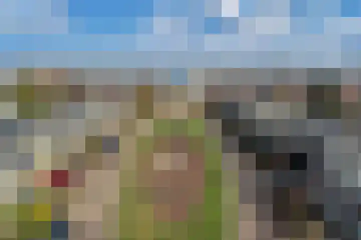 Gooisekust 72 Huizen thumbnail 36