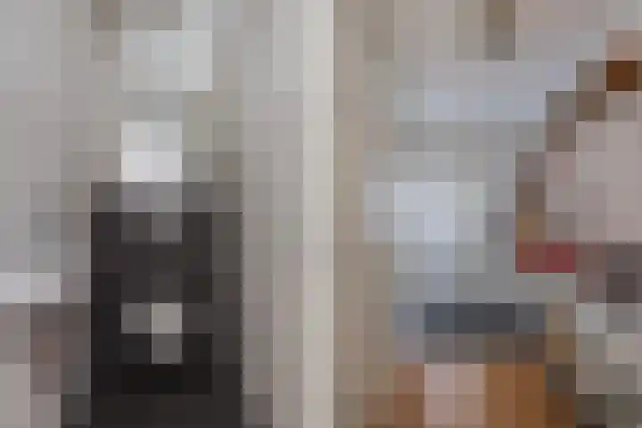 Gooisekust 72 Huizen thumbnail 4
