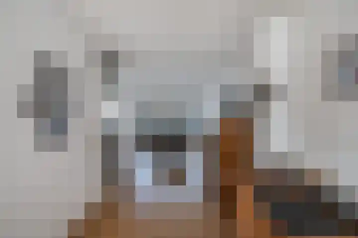 Gooisekust 72 Huizen thumbnail 9