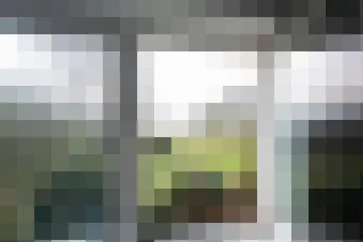 Goorderweg 9 Voorthuizen thumbnail 21