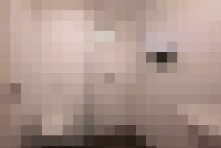 Goorderweg 9 Voorthuizen thumbnail 34