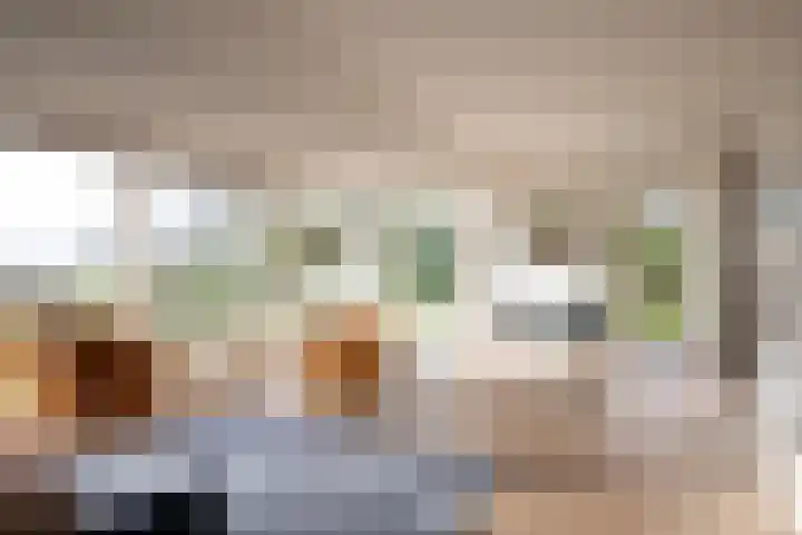 Goorderweg 9 Voorthuizen thumbnail 4