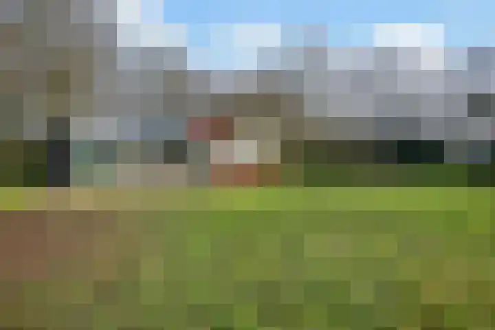 Goorderweg 9 Voorthuizen thumbnail 41