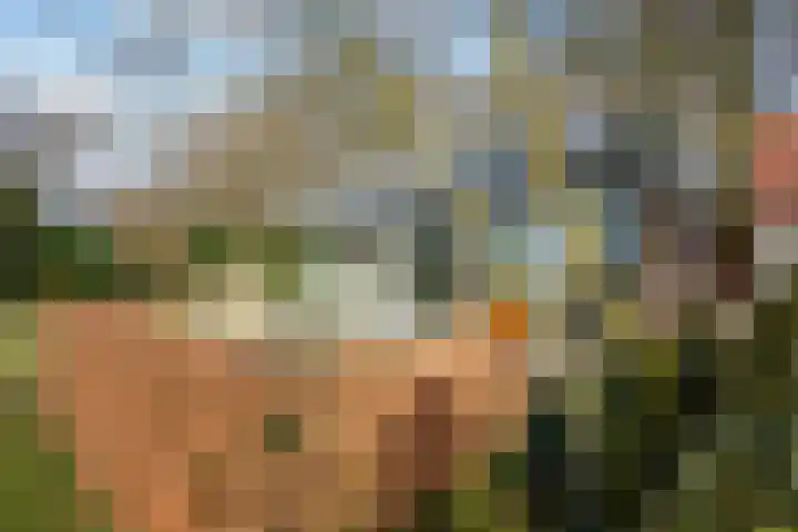 Goorderweg 9 Voorthuizen thumbnail 42