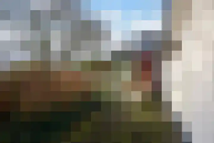 Goorderweg 9 Voorthuizen thumbnail 43