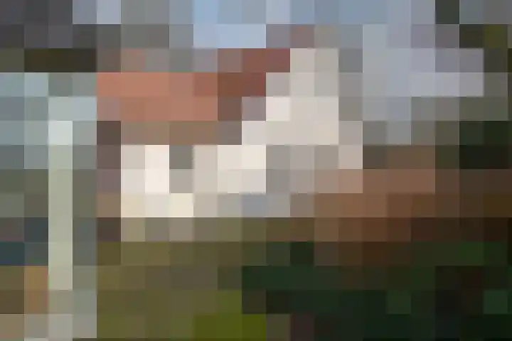 Goorderweg 9 Voorthuizen thumbnail 44