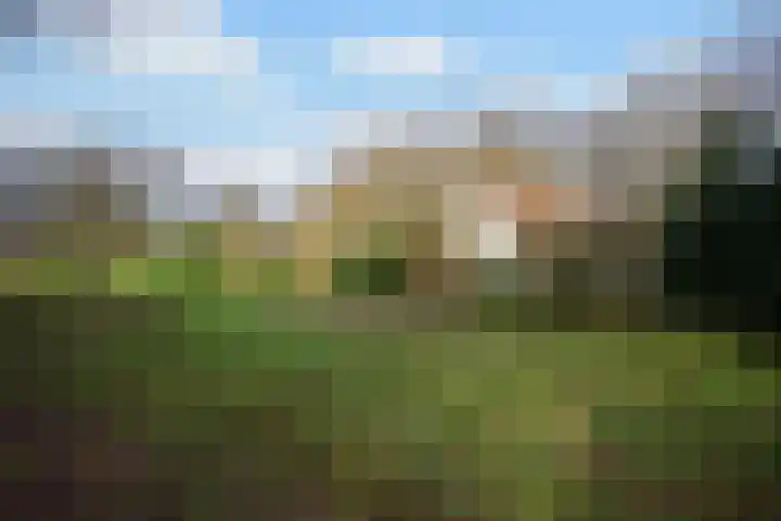 Goorderweg 9 Voorthuizen thumbnail 46