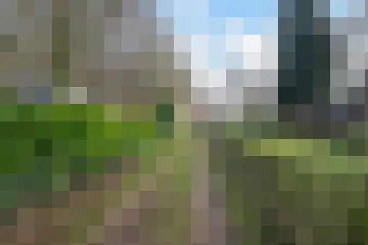 Goorderweg 9 Voorthuizen thumbnail 47