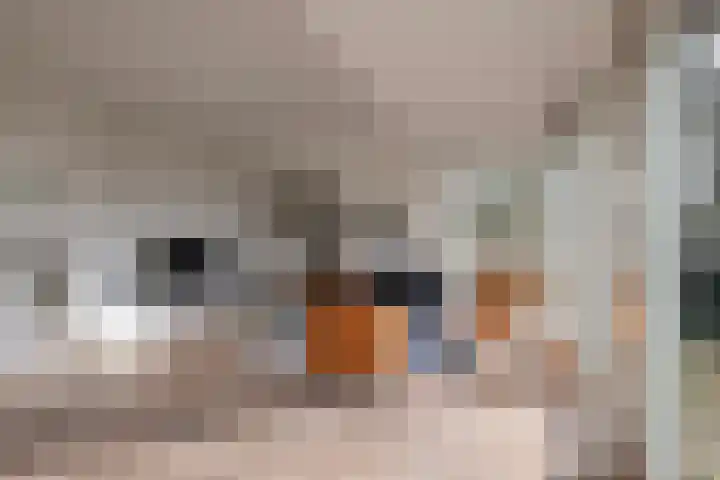 Goorderweg 9 Voorthuizen thumbnail 5