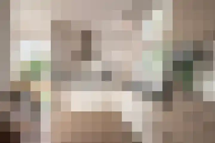 Goorderweg 9 Voorthuizen thumbnail 7