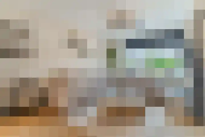 Goordijk 23 Hilvarenbeek thumbnail 10