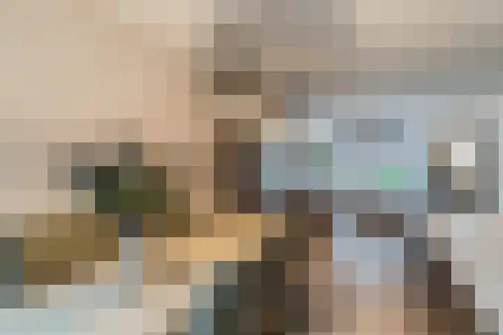 Goordijk 23 Hilvarenbeek thumbnail 13