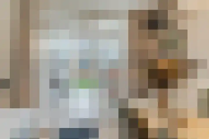 Goordijk 23 Hilvarenbeek thumbnail 15