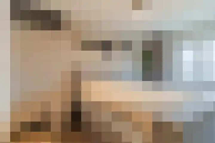 Goordijk 23 Hilvarenbeek thumbnail 26