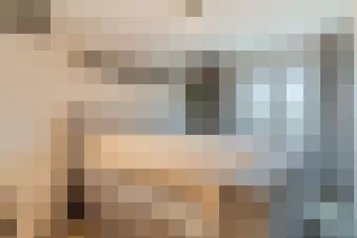 Goordijk 23 Hilvarenbeek thumbnail 27