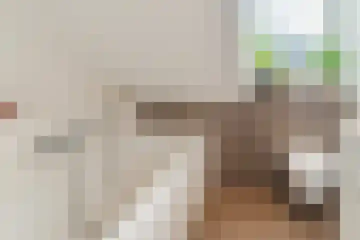 Goordijk 23 Hilvarenbeek thumbnail 36