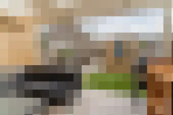 Goordijk 23 Hilvarenbeek thumbnail 47