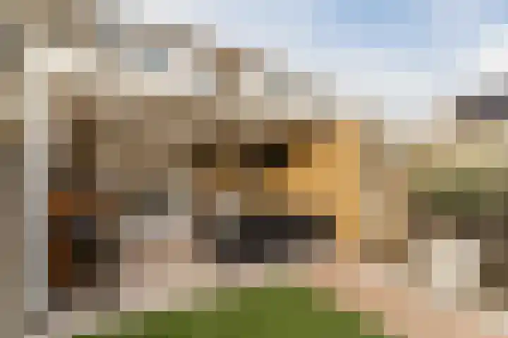 Goordijk 23 Hilvarenbeek thumbnail 53