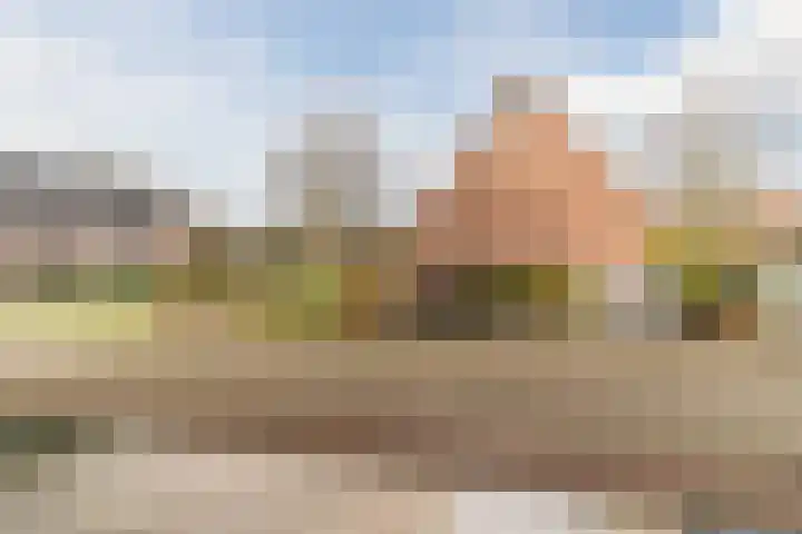 Goordijk 23 Hilvarenbeek thumbnail 54