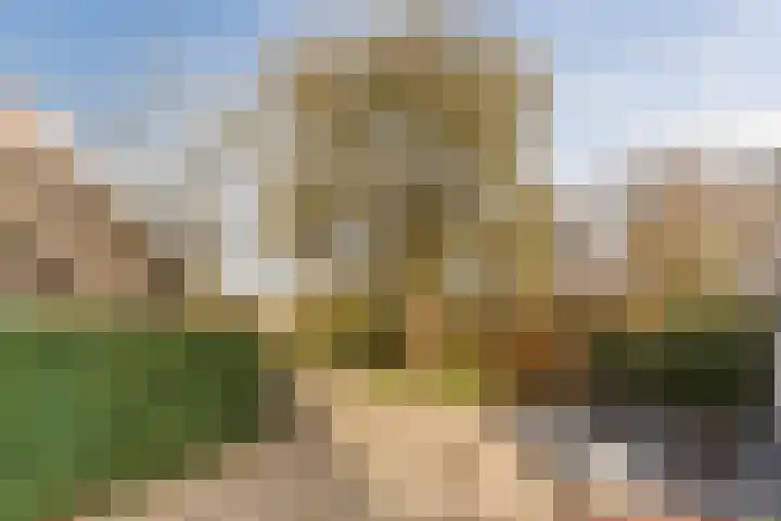 Goordijk 23 Hilvarenbeek thumbnail 55