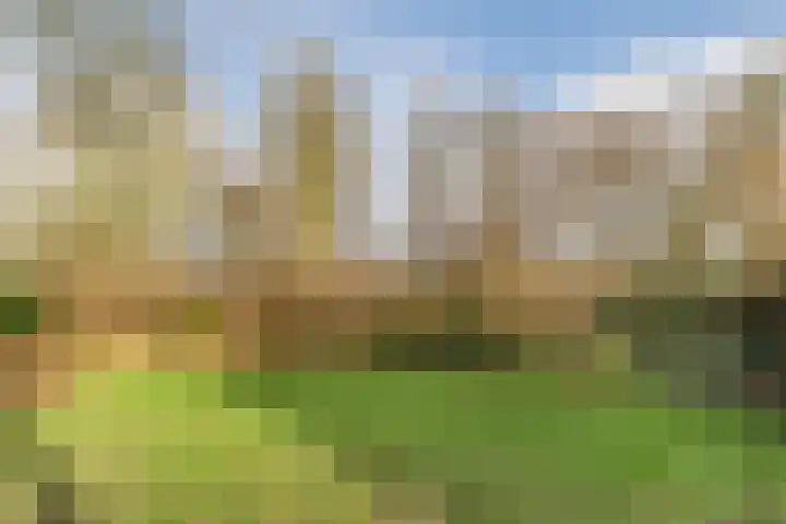 Goordijk 23 Hilvarenbeek thumbnail 56