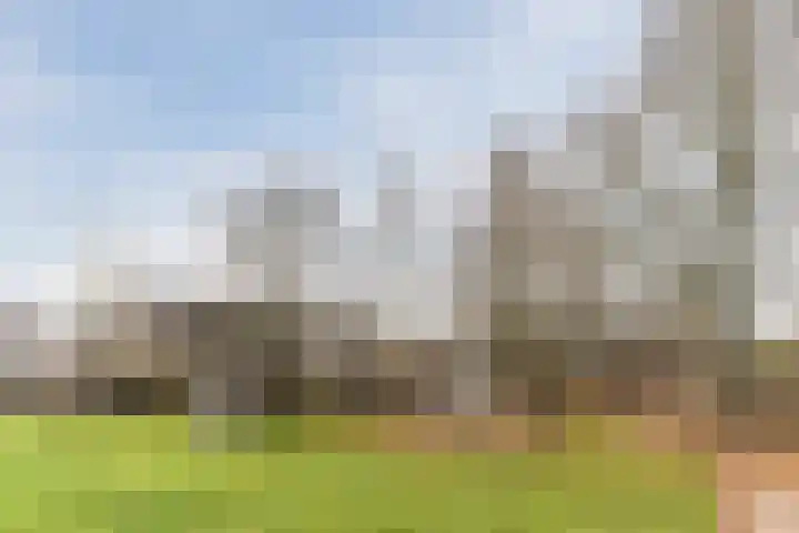 Goordijk 23 Hilvarenbeek thumbnail 57
