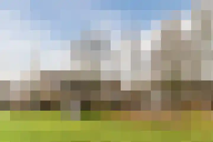 Goordijk 23 Hilvarenbeek thumbnail 58