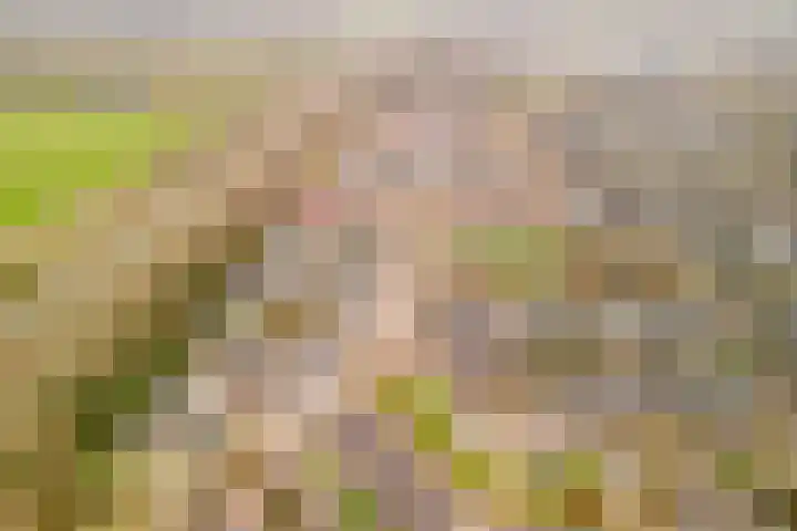 Goordijk 23 Hilvarenbeek thumbnail 59