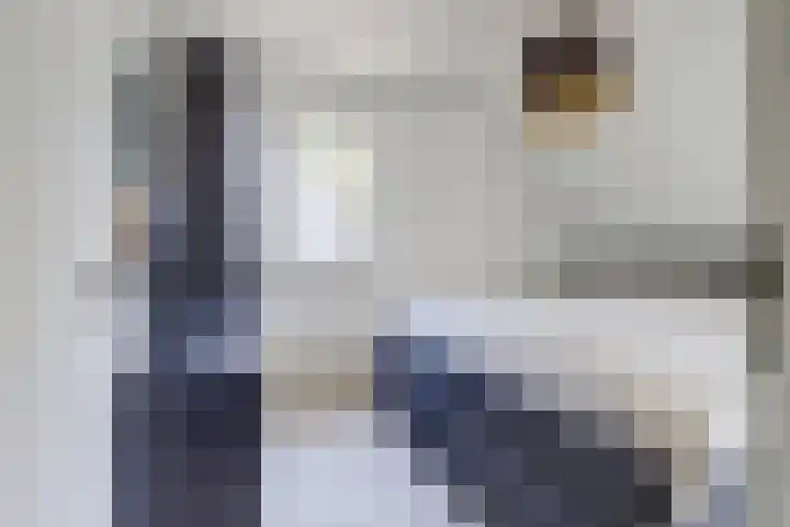 Goordijk 7 Hilvarenbeek thumbnail 13