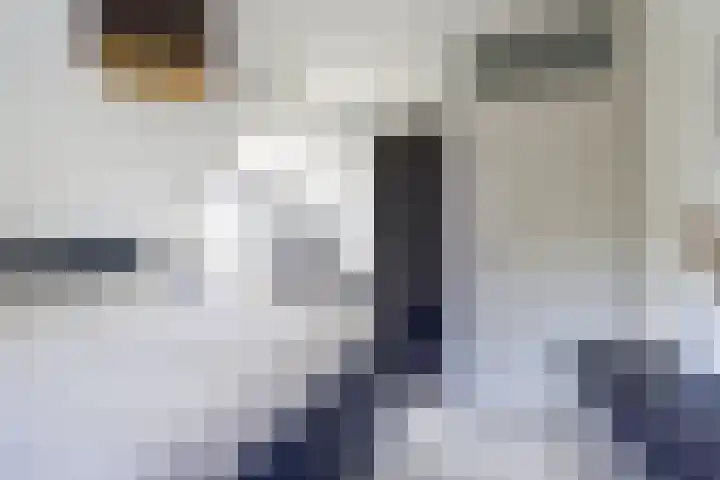 Goordijk 7 Hilvarenbeek thumbnail 14