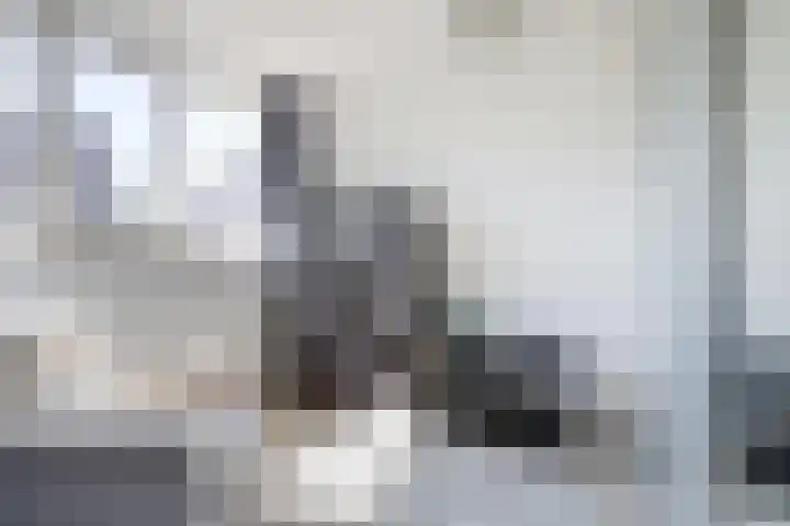Goordijk 7 Hilvarenbeek thumbnail 15