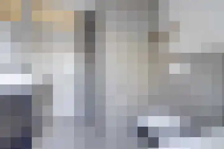 Goordijk 7 Hilvarenbeek thumbnail 19