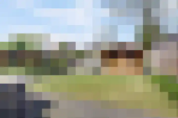 Goordijk 7 Hilvarenbeek thumbnail 23