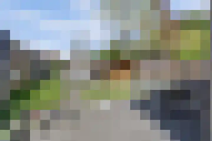 Goordijk 7 Hilvarenbeek thumbnail 24