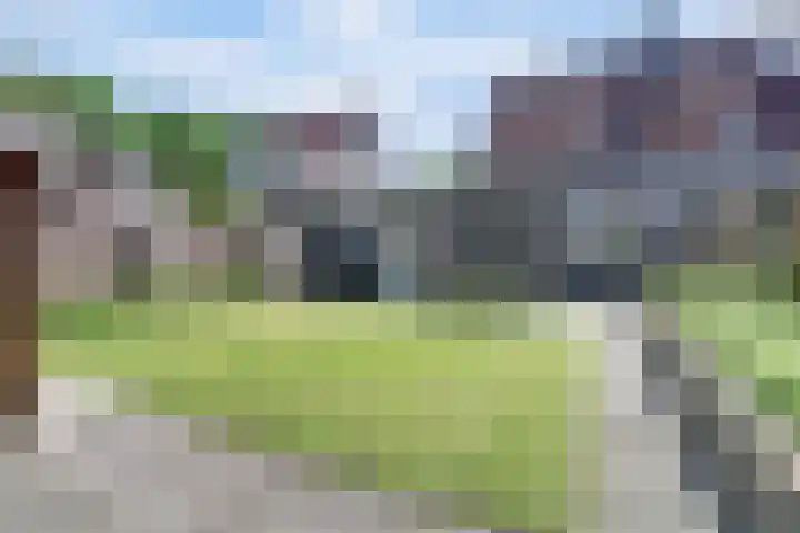 Goordijk 7 Hilvarenbeek thumbnail 26