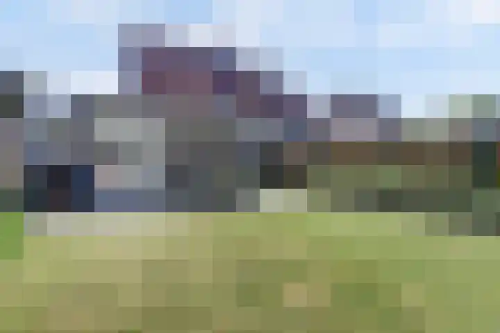 Goordijk 7 Hilvarenbeek thumbnail 27