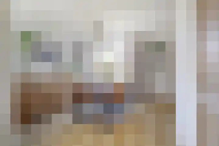 Goordijk 7 Hilvarenbeek thumbnail 5