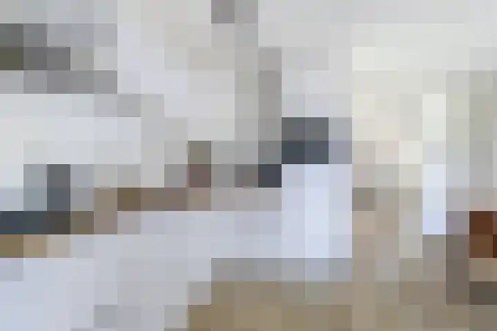 Goordijk 7 Hilvarenbeek thumbnail 6
