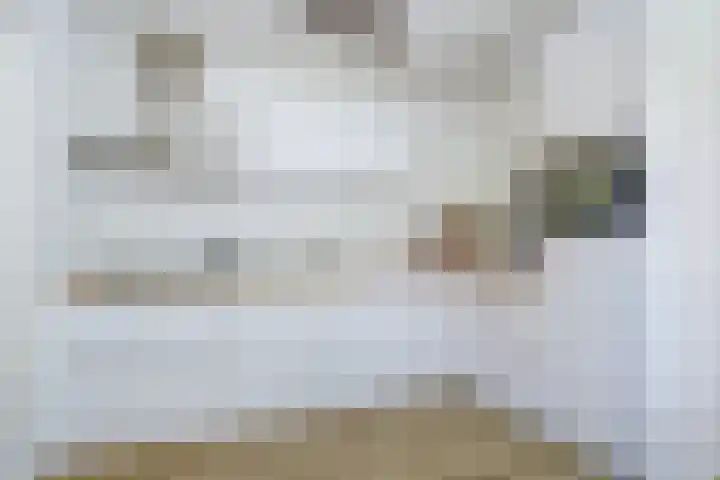 Goordijk 7 Hilvarenbeek thumbnail 7