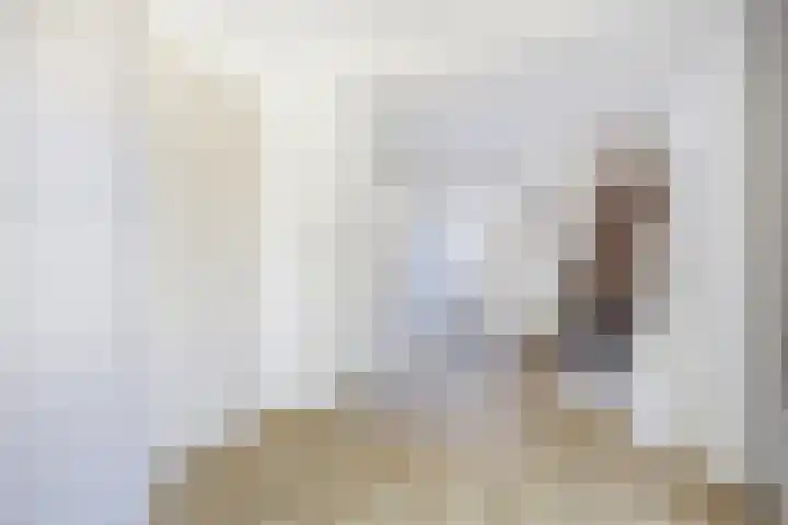 Goordijk 7 Hilvarenbeek thumbnail 8