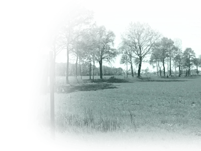 Team foto van Goorhuis Makelaardij