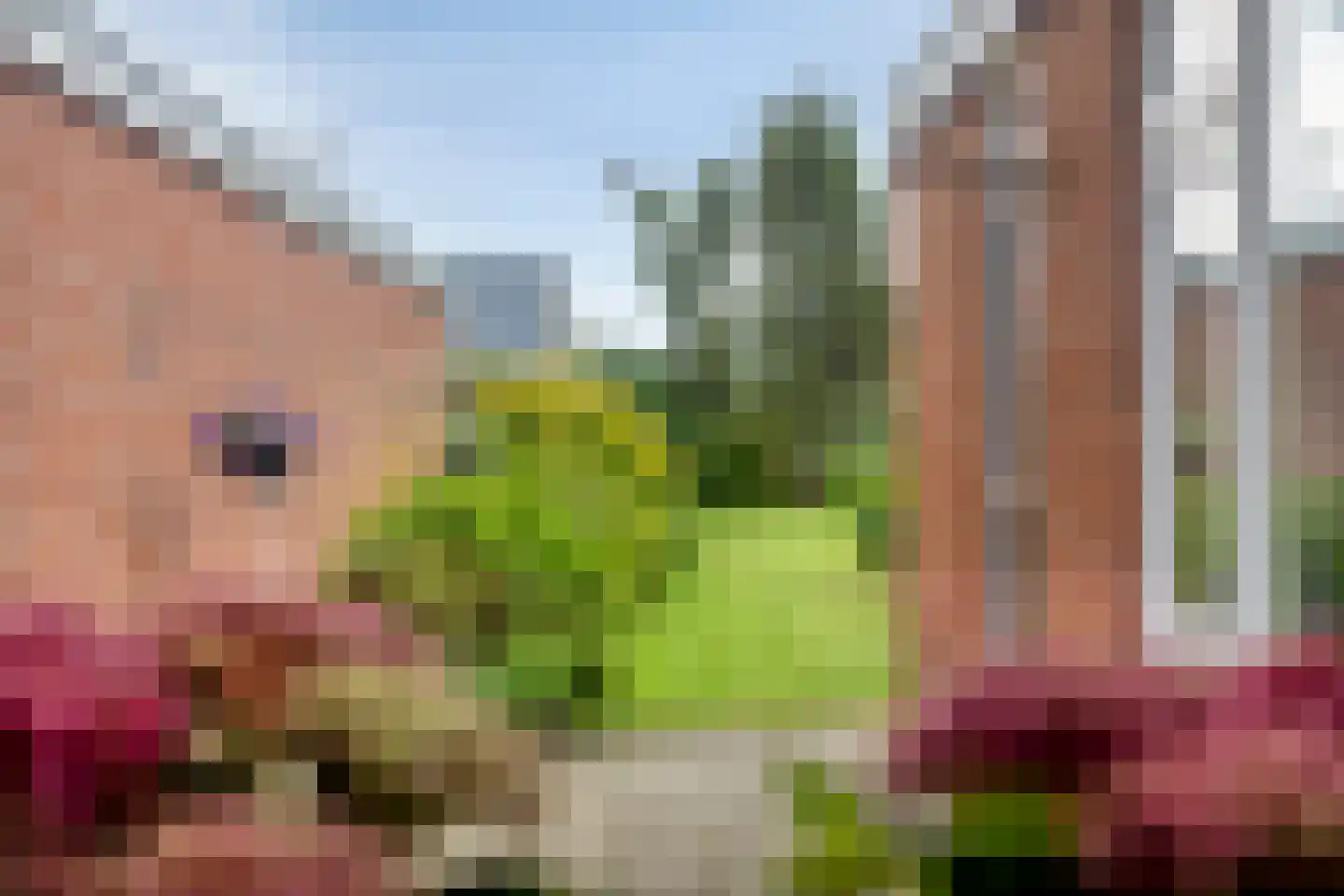 Goormatenweg 32 Overdinkel thumbnail 12