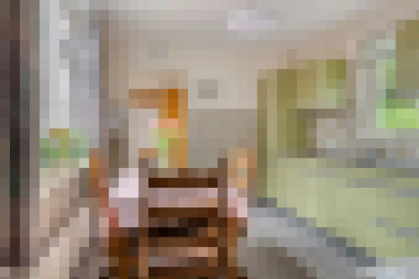 Goormatenweg 32 Overdinkel thumbnail 13