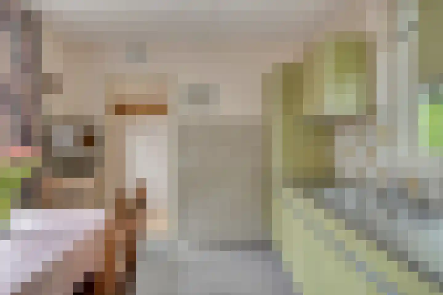 Goormatenweg 32 Overdinkel thumbnail 14