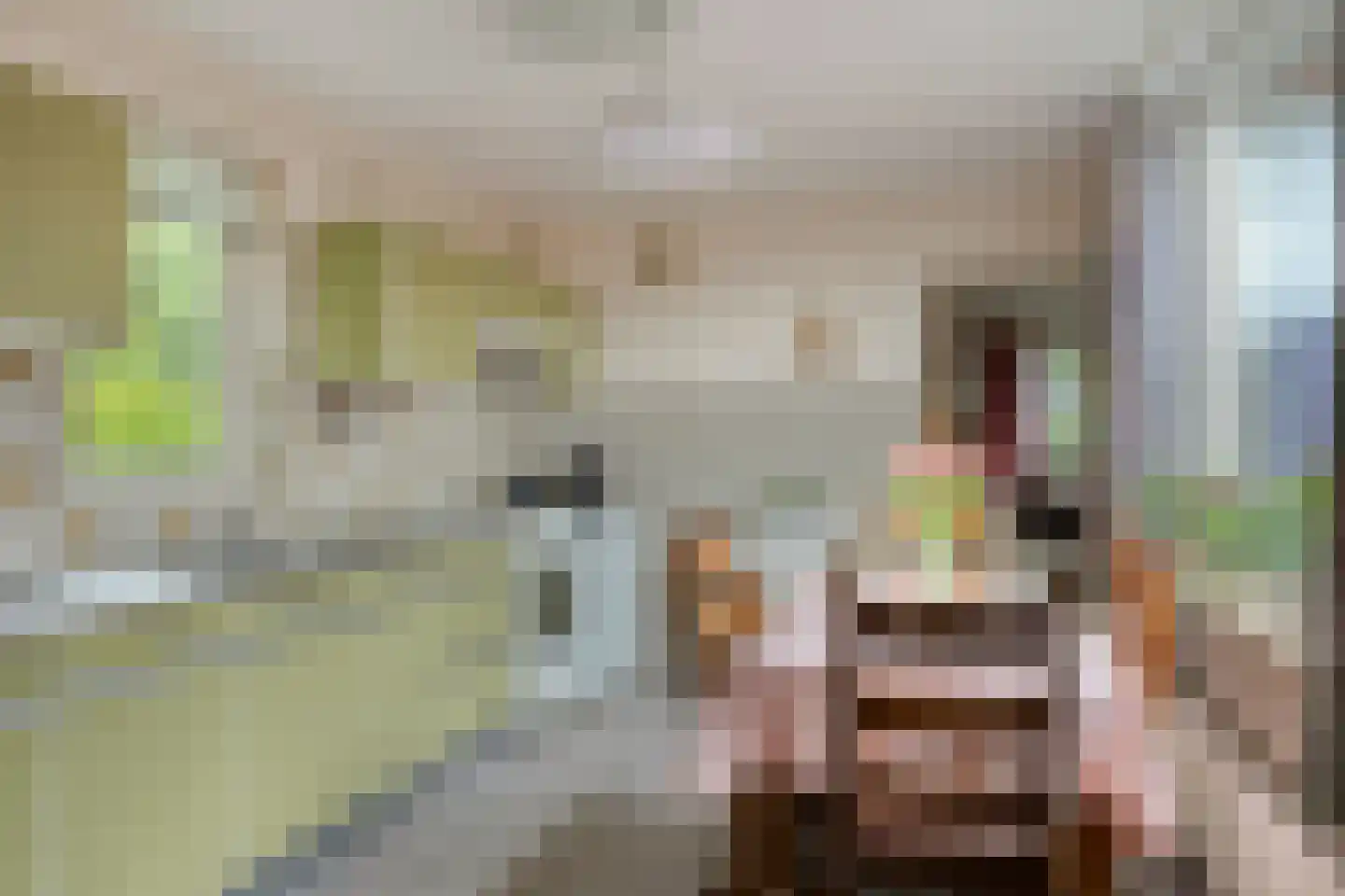 Goormatenweg 32 Overdinkel thumbnail 15