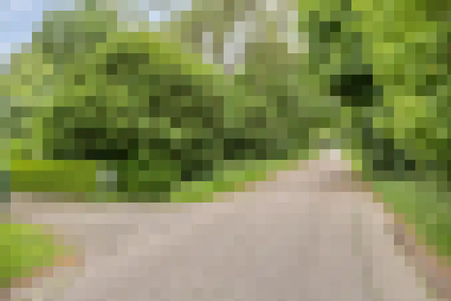 Goormatenweg 32 Overdinkel thumbnail 21