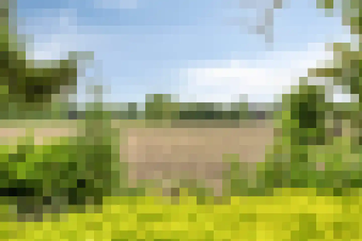 Goormatenweg 32 Overdinkel thumbnail 39